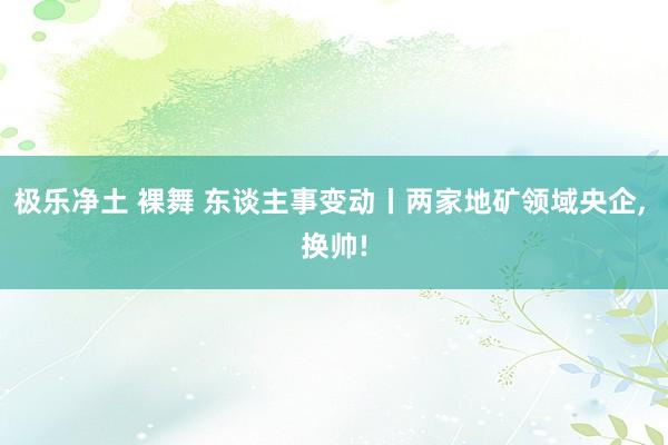 极乐净土 裸舞 东谈主事变动丨两家地矿领域央企， 换帅!