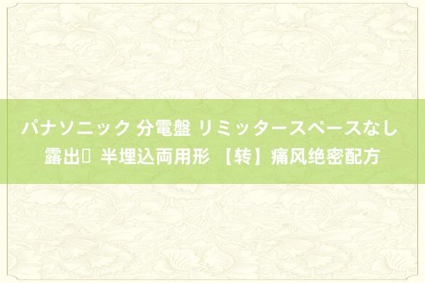 パナソニック 分電盤 リミッタースペースなし 露出・半埋込両用形 【转】痛风绝密配方