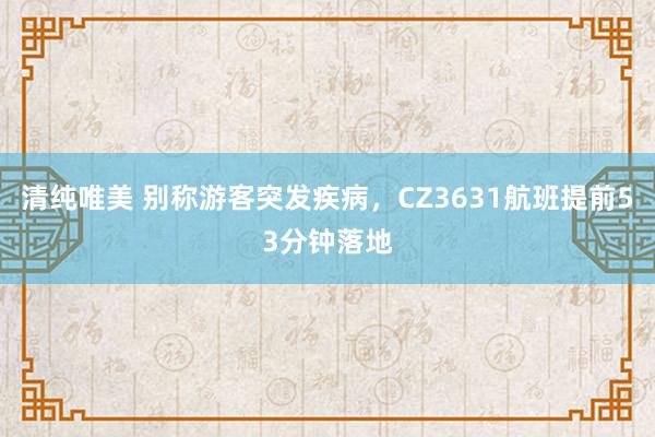 清纯唯美 别称游客突发疾病，CZ3631航班提前53分钟落地