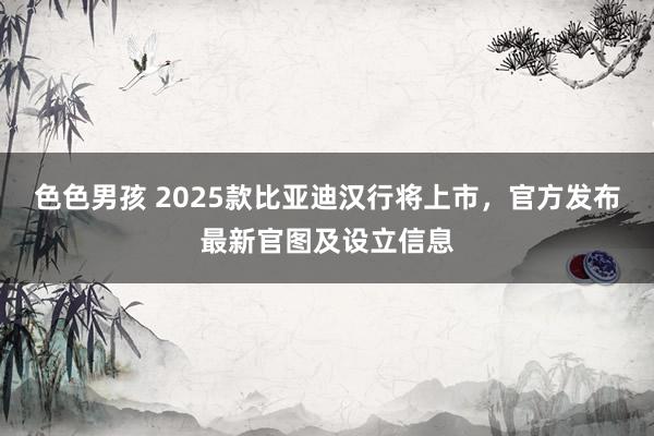 色色男孩 2025款比亚迪汉行将上市，官方发布最新官图及设立信息