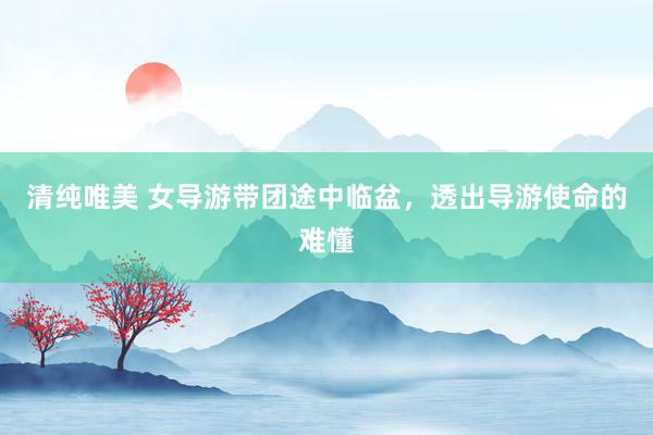 清纯唯美 女导游带团途中临盆，透出导游使命的难懂