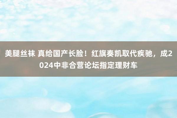 美腿丝袜 真给国产长脸！红旗奏凯取代疾驰，成2024中非合营论坛指定理财车