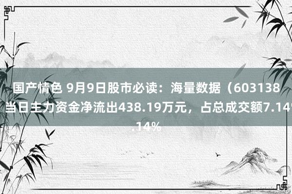 国产情色 9月9日股市必读：海量数据（603138）当日主力资金净流出438.19万元，占总成交额7.14%