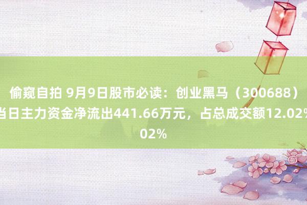 偷窥自拍 9月9日股市必读：创业黑马（300688）当日主力资金净流出441.66万元，占总成交额12.02%