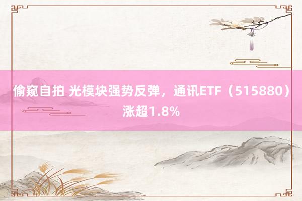 偷窥自拍 光模块强势反弹，通讯ETF（515880）涨超1.8%