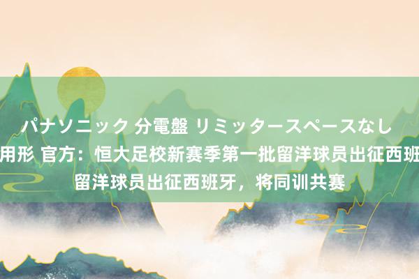 パナソニック 分電盤 リミッタースペースなし 露出・半埋込両用形 官方：恒大足校新赛季第一批留洋球员出征西班牙，将同训共赛