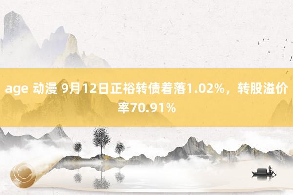 age 动漫 9月12日正裕转债着落1.02%，转股溢价率70.91%