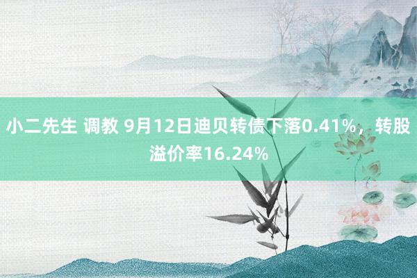 小二先生 调教 9月12日迪贝转债下落0.41%，转股溢价率16.24%