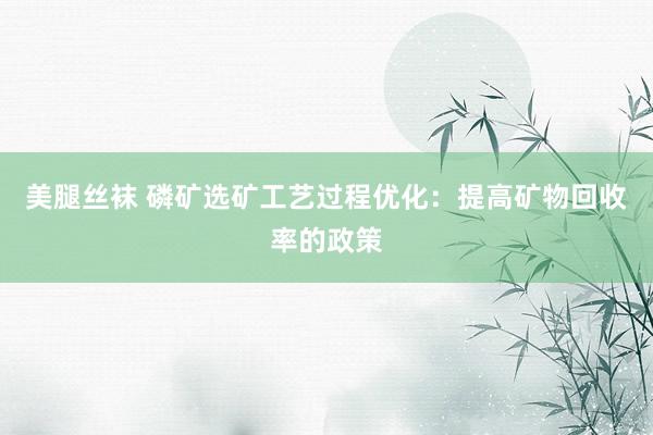 美腿丝袜 磷矿选矿工艺过程优化：提高矿物回收率的政策