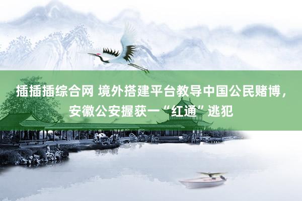 插插插综合网 境外搭建平台教导中国公民赌博，安徽公安握获一“红通”逃犯