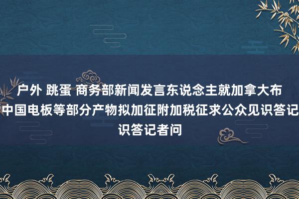 户外 跳蛋 商务部新闻发言东说念主就加拿大布告对中国电板等部分产物拟加征附加税征求公众见识答记者问