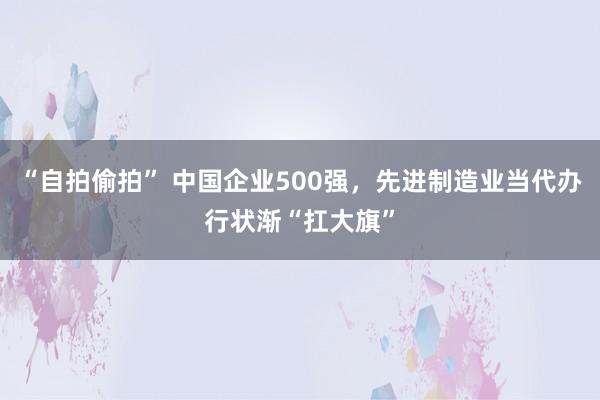 “自拍偷拍” 中国企业500强，先进制造业当代办行状渐“扛大旗”