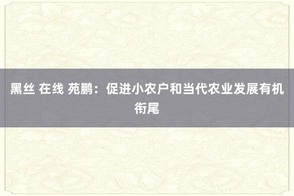 黑丝 在线 苑鹏：促进小农户和当代农业发展有机衔尾