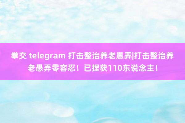 拳交 telegram 打击整治养老愚弄|打击整治养老愚弄零容忍！已捏获110东说念主！