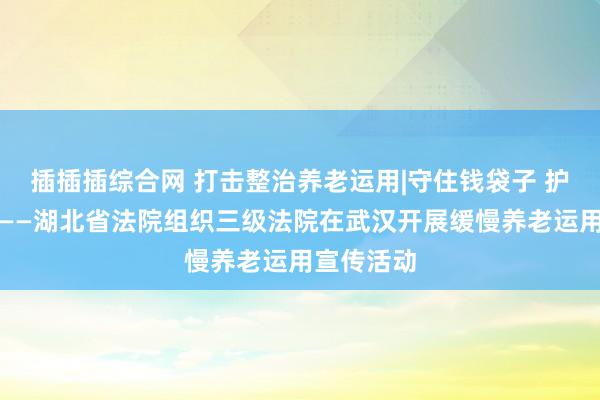 插插插综合网 打击整治养老运用|守住钱袋子 护好幸福家——湖北省法院组织三级法院在武汉开展缓慢养老运用宣传活动