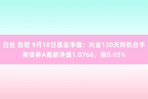 白丝 自慰 9月18日基金净值：兴业120天转机合手有债券A最新净值1.0766，涨0.05%