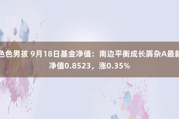 色色男孩 9月18日基金净值：南边平衡成长羼杂A最新净值0.8523，涨0.35%