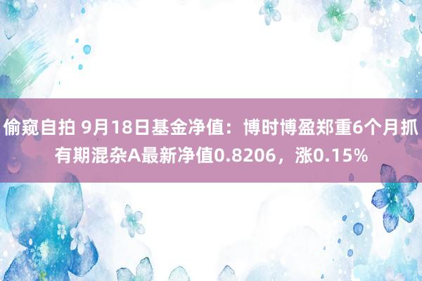 偷窥自拍 9月18日基金净值：博时博盈郑重6个月抓有期混杂A最新净值0.8206，涨0.15%