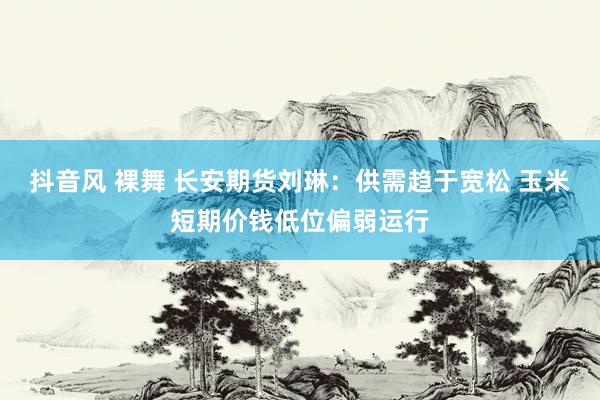 抖音风 裸舞 长安期货刘琳：供需趋于宽松 玉米短期价钱低位偏弱运行