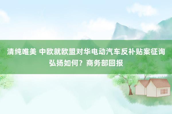 清纯唯美 中欧就欧盟对华电动汽车反补贴案征询弘扬如何？商务部回报