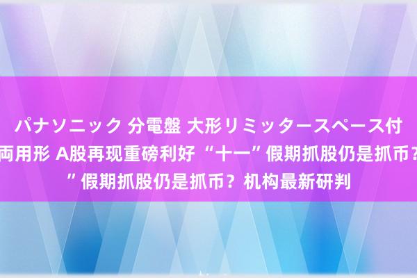 パナソニック 分電盤 大形リミッタースペース付 露出・半埋込両用形 A股再现重磅利好 “十一”假期抓股仍是抓币？机构最新研判