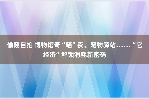 偷窥自拍 博物馆奇“喵”夜、宠物驿站……“它经济”解锁消耗新密码