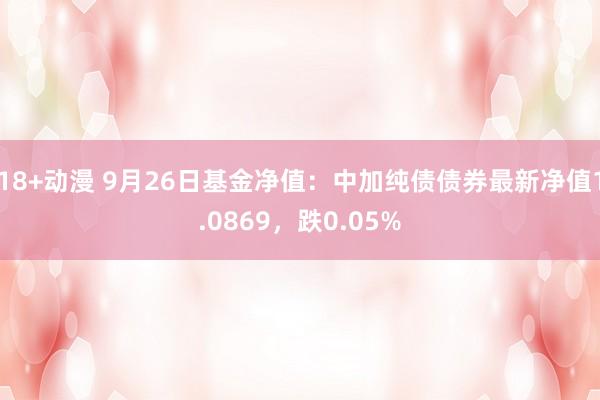 18+动漫 9月26日基金净值：中加纯债债券最新净值1.0869，跌0.05%