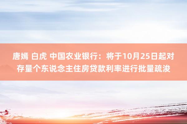 唐嫣 白虎 中国农业银行：将于10月25日起对存量个东说念主住房贷款利率进行批量疏浚