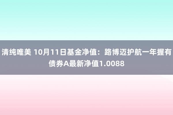 清纯唯美 10月11日基金净值：路博迈护航一年握有债券A最新净值1.0088