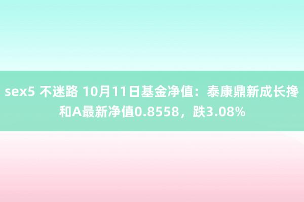 sex5 不迷路 10月11日基金净值：泰康鼎新成长搀和A最新净值0.8558，跌3.08%