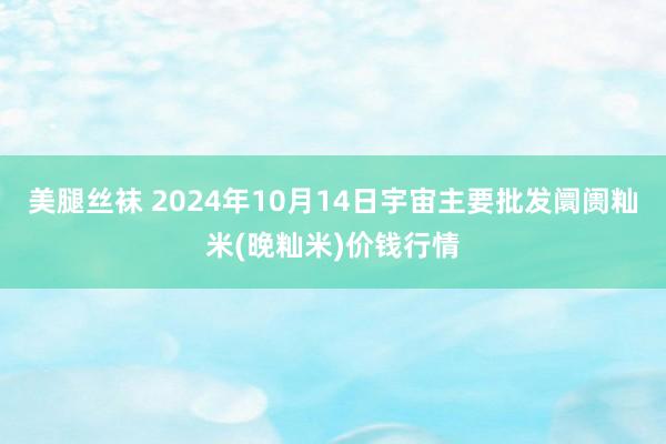 美腿丝袜 2024年10月14日宇宙主要批发阛阓籼米(晚籼米)价钱行情