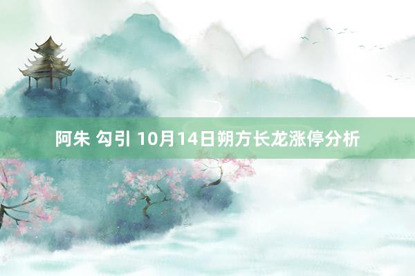 阿朱 勾引 10月14日朔方长龙涨停分析