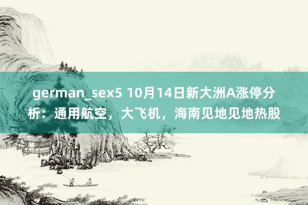 german_sex5 10月14日新大洲A涨停分析：通用航空，大飞机，海南见地见地热股