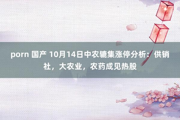 porn 国产 10月14日中农辘集涨停分析：供销社，大农业，农药成见热股