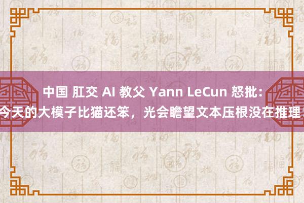 中国 肛交 AI 教父 Yann LeCun 怒批：今天的大模子比猫还笨，光会瞻望文本压根没在推理！