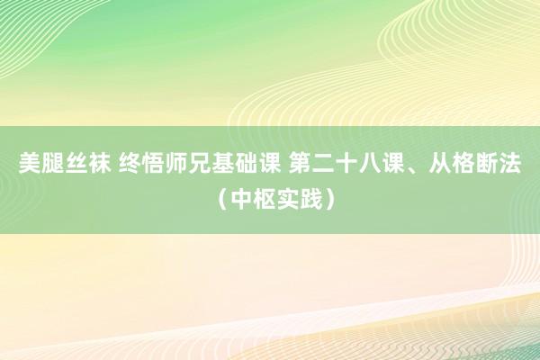 美腿丝袜 终悟师兄基础课 第二十八课、从格断法（中枢实践）