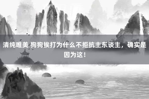 清纯唯美 狗狗挨打为什么不拒抗主东谈主，确实是因为这！