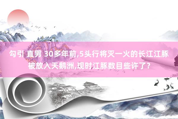 勾引 直男 30多年前，5头行将灭一火的长江江豚被放入天鹅洲，现时江豚数目些许了？