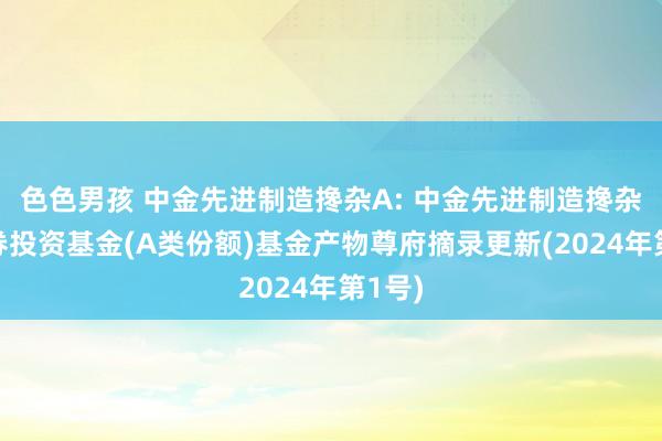 色色男孩 中金先进制造搀杂A: 中金先进制造搀杂型证券投资基金(A类份额)基金产物尊府摘录更新(2024年第1号)