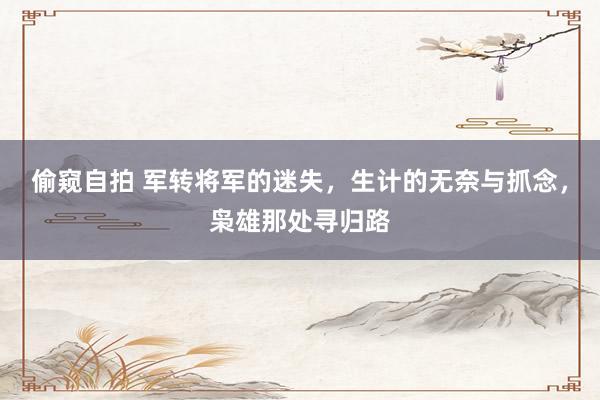 偷窥自拍 军转将军的迷失，生计的无奈与抓念，枭雄那处寻归路