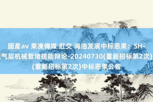 國產av 果凍傳媒 肛交 海油发展中标恶果：SH-复杂井筒高压气层机械暂堵技能辩论-20240730(重新招标第2次)中标恶果公告