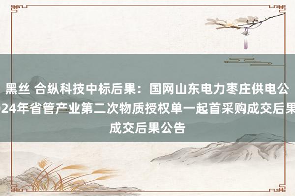 黑丝 合纵科技中标后果：国网山东电力枣庄供电公司2024年省管产业第二次物质授权单一起首采购成交后果公告