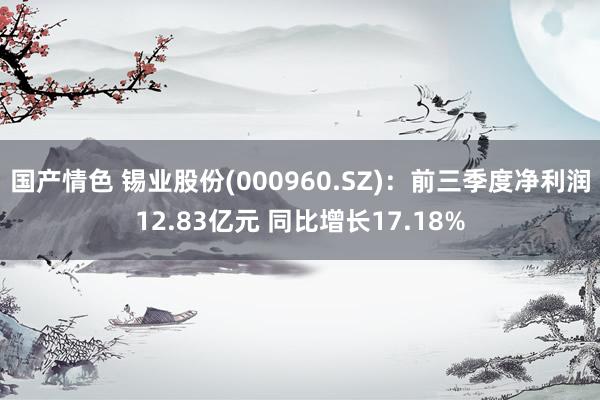 国产情色 锡业股份(000960.SZ)：前三季度净利润12.83亿元 同比增长17.18%