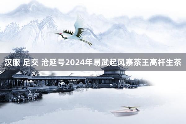 汉服 足交 沧延号2024年易武起风寨茶王高杆生茶