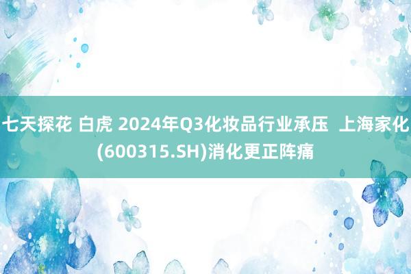 七天探花 白虎 2024年Q3化妆品行业承压  上海家化(600315.SH)消化更正阵痛