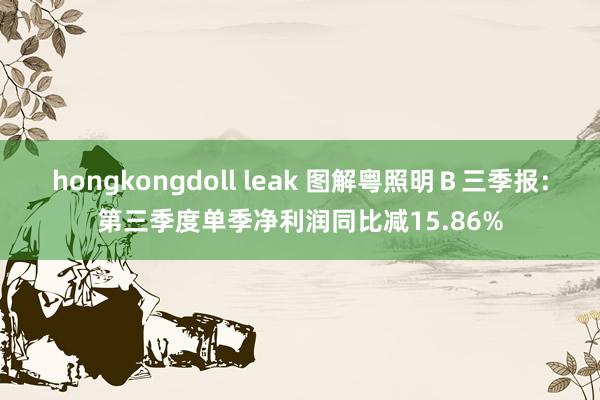 hongkongdoll leak 图解粤照明Ｂ三季报：第三季度单季净利润同比减15.86%