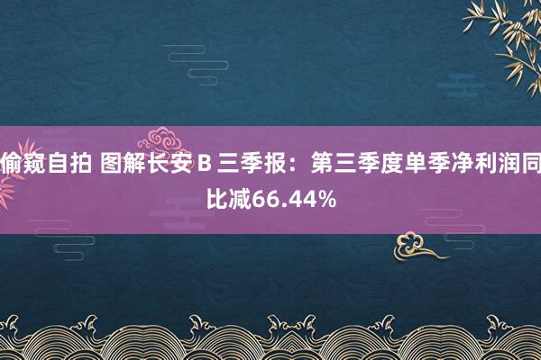 偷窥自拍 图解长安Ｂ三季报：第三季度单季净利润同比减66.44%