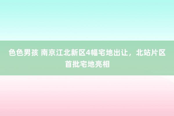 色色男孩 南京江北新区4幅宅地出让，北站片区首批宅地亮相