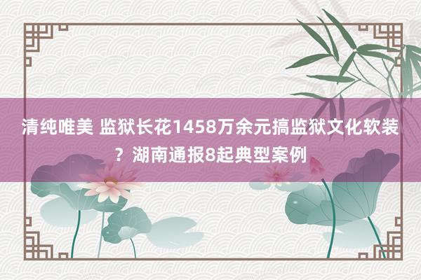 清纯唯美 监狱长花1458万余元搞监狱文化软装？湖南通报8起典型案例