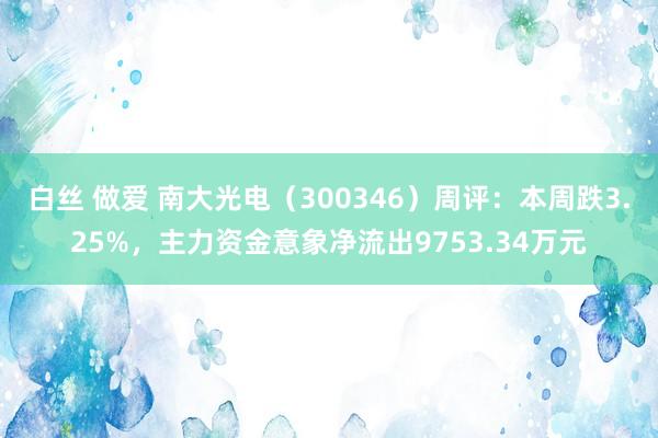 白丝 做爱 南大光电（300346）周评：本周跌3.25%，主力资金意象净流出9753.34万元